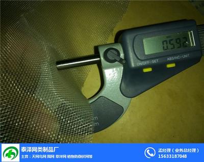 青蛙紗網(wǎng) 絲網(wǎng)制品中的環(huán)保與實用典范